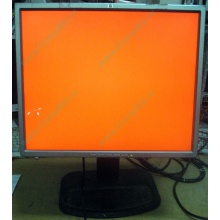Монитор 19" TFT HP 1955 (DVI в Черкесске, USB-хаб) "квадратный" (Черкесск)