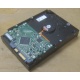Жесткий диск HP 250Gb 7200 rpm 432337-001/ 399699-001 / 397377-004 (Черкесск)