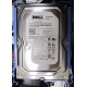 Б/У жёсткий диск Dell SATA (WD WD1601ABYS 7200 rpm) 3.5" HDD (Черкесск)