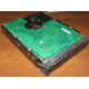 Жесткий диск 300Gb 15k Seagate Cheetach ST3300656SS 15K.6 Dell 9CH066-050 6G SAS (Черкесск)